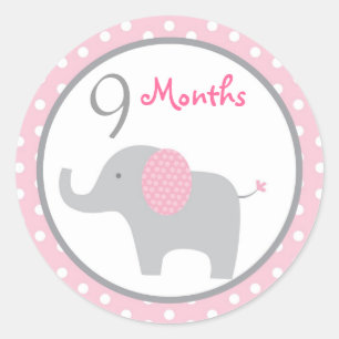Mod Pink Elephant Girl Monthly Milestone Stickers