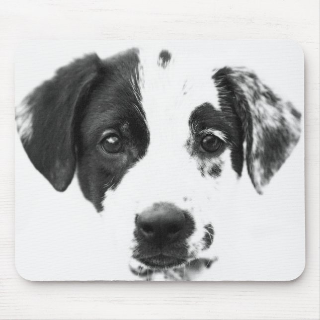 Mod pup mouse mat (Front)