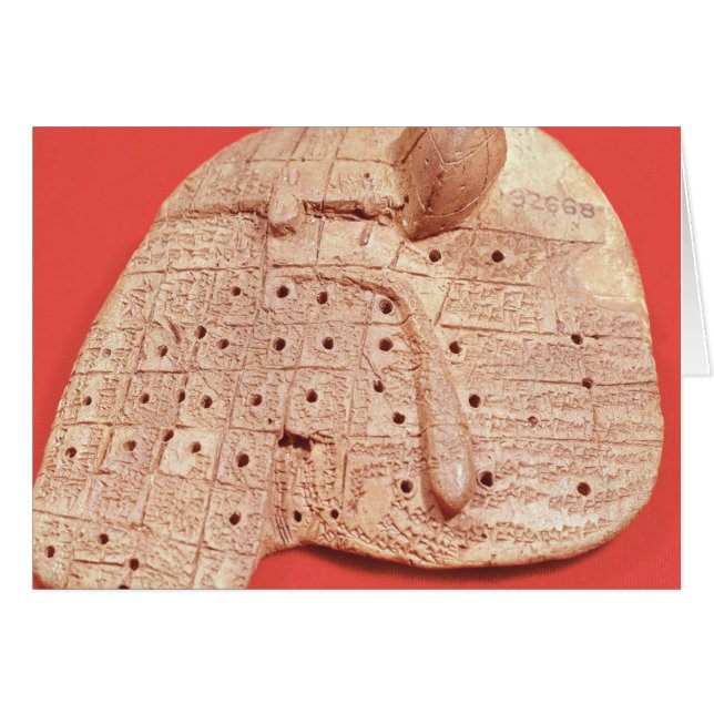 Model of a sheep's liver (Front Horizontal)