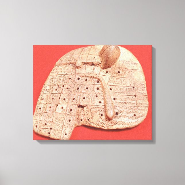Model of a sheep's liver canvas print (Front)