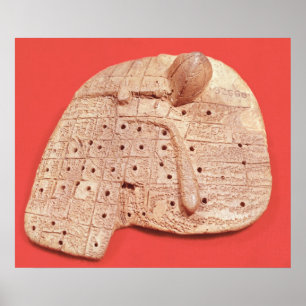 Model of a sheep's liver poster