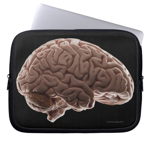 Model of human brain, studio shot laptop sleeve (Front)