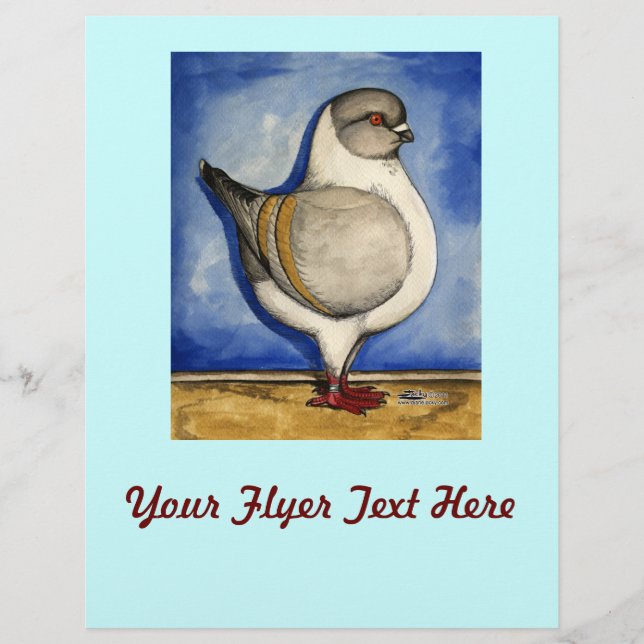 Modena Silver Gazzi Pigeon Flyer (Front)