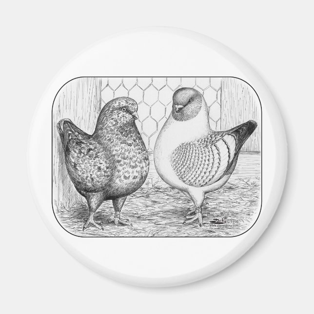 Modenas Two Magnet (Front)