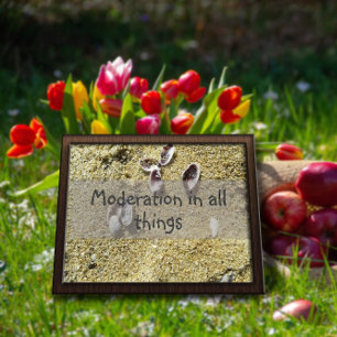 Moderation in all things wisdom saying poster