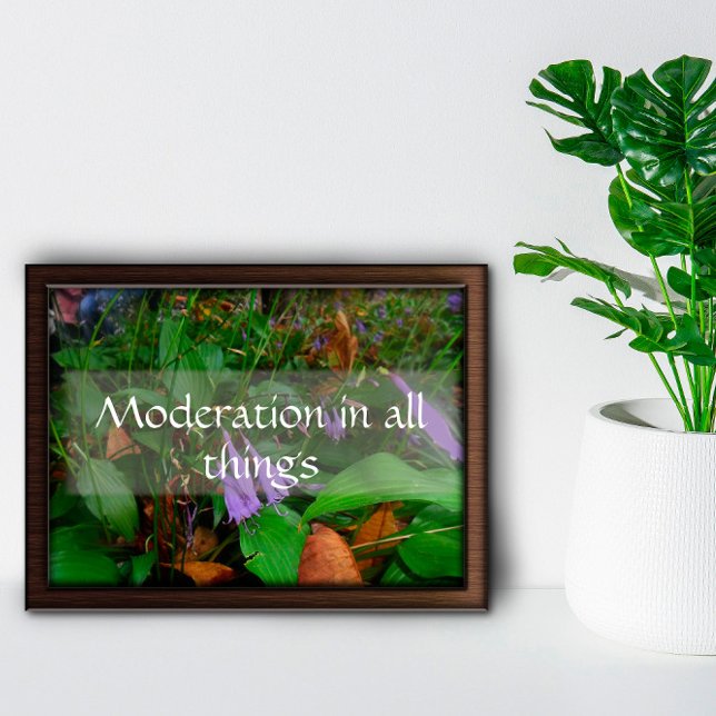  Moderation in all things   wisdom saying poster (Creator Uploaded)
