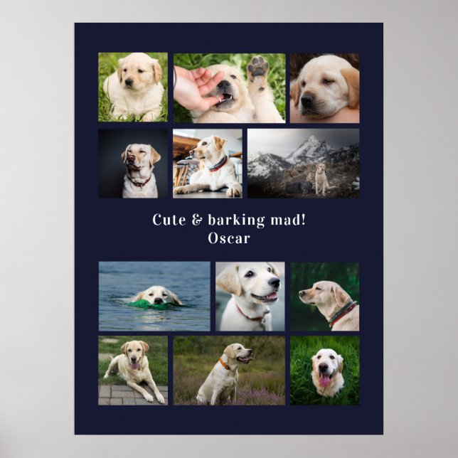 Modern 12 dog photo personalised collage poster (Front)