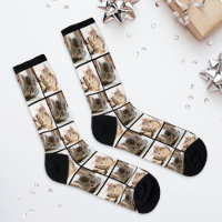 Modern 2 Cat Photo Collage Grid
