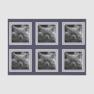 Modern 6 Instagram Style Photo Collage Custom Text Tissue Paper