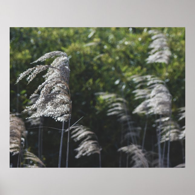 Modern Abstract Botanical Art – Nature Shapes Poster (Front)