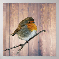 Modern abstract Robin bird on rustic barn wood