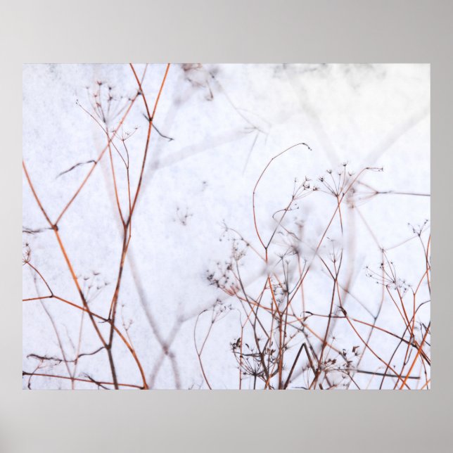 Modern Abstract Winter Wildflowers in Snow Poster (Front)
