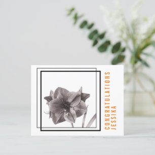 Modern Amaryllis Flower Orange Postcard