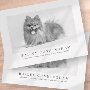 Modern And Simple Photo Pet Thanks Vet Nurses Thank You Card