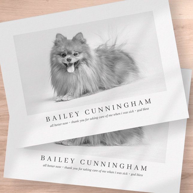 Modern And Simple Photo Pet Thanks Vet Nurses Thank You Card (Creator Uploaded)