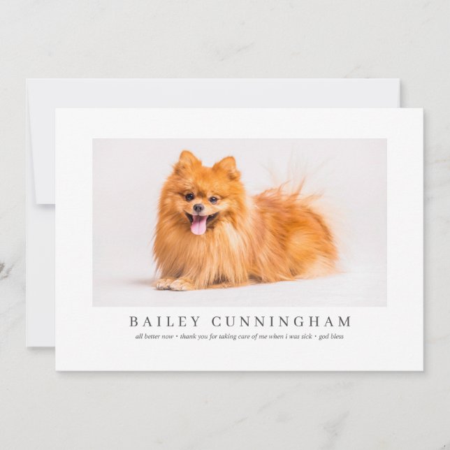 Modern And Simple Photo Pet Thanks Vet Nurses Thank You Card (Front)