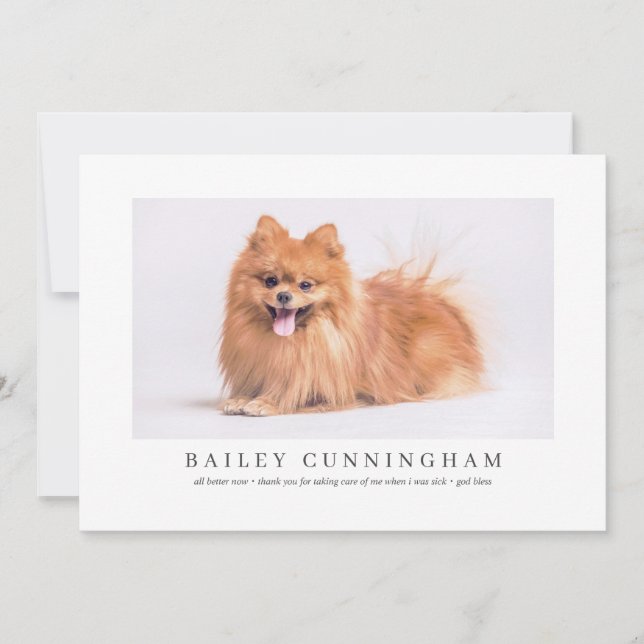 Modern And Simple Photo Pet Thanks Vet Nurses Thank You Card (Front)