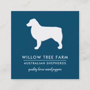 Modern Australian Shepherd Breeder   Social Media Square Business Card