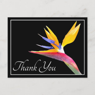 Modern Beautiful Bird of Paradise Floral Thank You Postcard