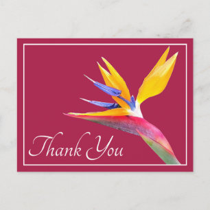 Modern Beautiful Bird of Paradise Floral Thank You Postcard