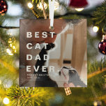 Modern BEST CAT DAD EVER Custom Photo Glass Tree Decoration<br><div class="desc">Modern Best Cat Dad Ever Custom Photo Christmas Ornament. Perfect gift for cat lovers during the festive season.</div>