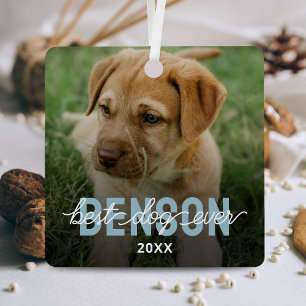 Modern Best Dog Ever Pet Photo Metal Tree Decoration