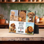 Modern Best Dog Ever Photo Collage | Pet Plaque<br><div class="desc">A modern photo collage plaque for your beloved pet. Whether it be a dog,  cat,  rabbit or bird. A simple desgin of 5 photos and text that can easily be customised. Would look fantastic in any home and would also make a great gift.</div>