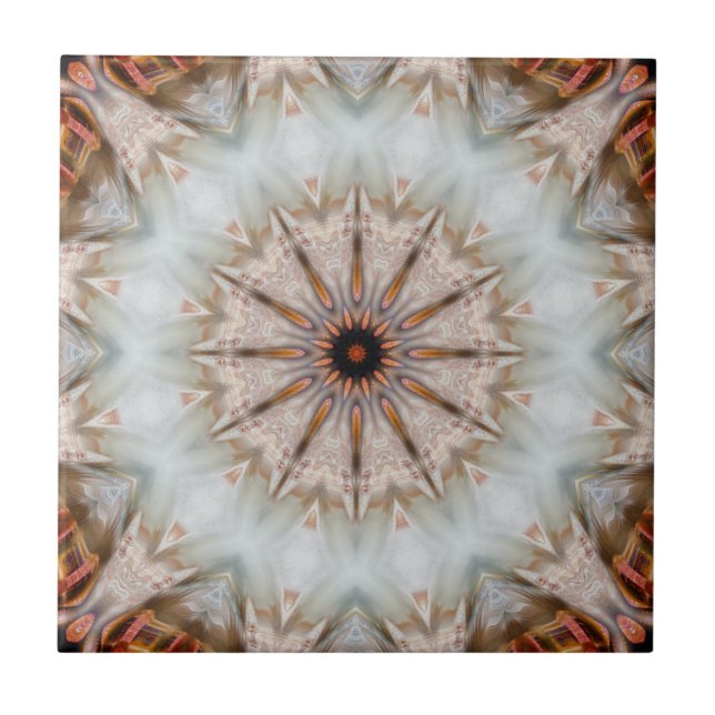 Modern Bird Feather Geometric Star Pattern Tile (Front)