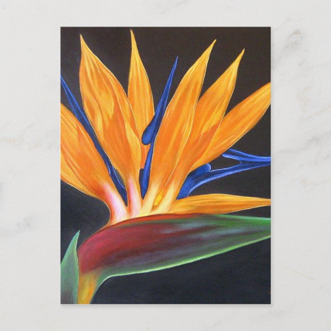 Modern Bird of Paradise Tropical Floral Painting Postcard (Front)