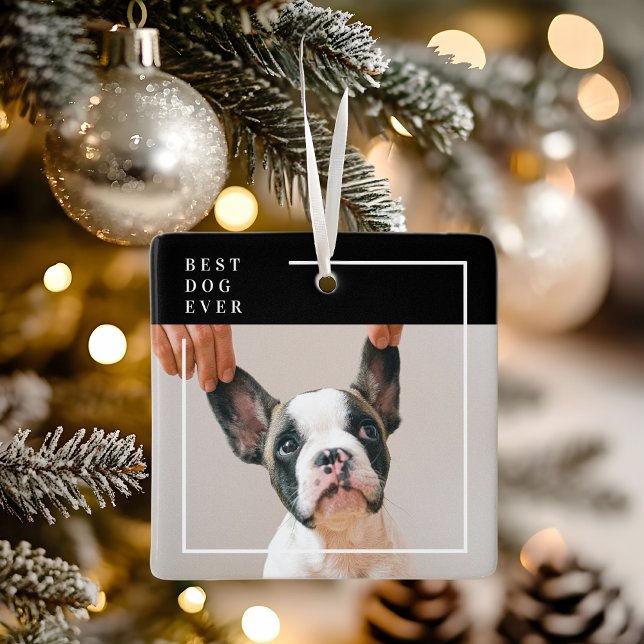 Modern Black and White Best Dog Ever Photo  Ceramic Ornament (Creator Uploaded)
