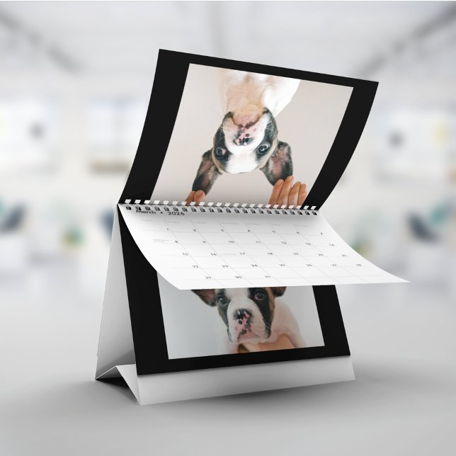 Modern Black Scrapbook Pet Photo Calendar (Creator Uploaded)
