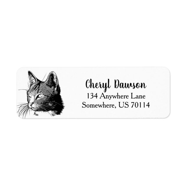 Modern Black & White Cat (Front)
