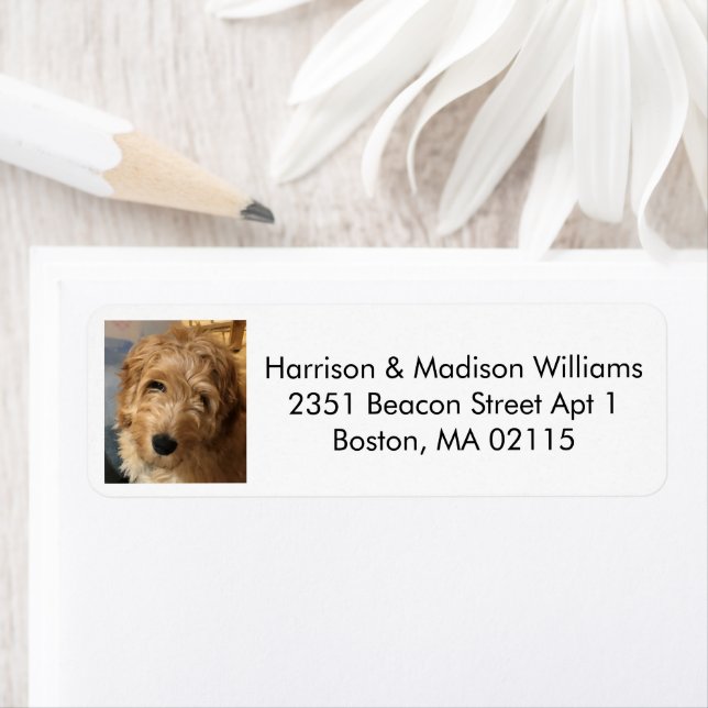 Modern black white custom photo return address (Insitu)