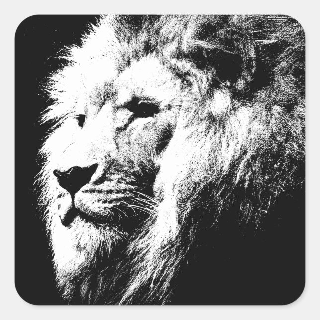 Modern Black & White Pop Art Lion Head Trendy Square Sticker (Front)