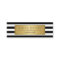 Modern Black White Stripes Gold Label Mini Card