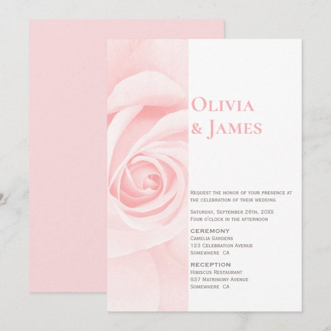 Modern Blush Pink Rose Wedding Invitation (Front/Back)