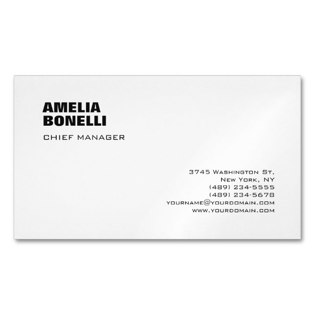 Modern Bold Minimalist Professional  Magnetic Business Card (Front)