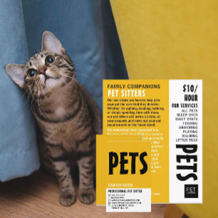 Modern Bold, Pet Sitting Service Advertising Flyer