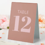 Modern Bold Typography Terracotta Pink Bat Mitzvah<br><div class="desc">Modern Bold Typography Terracotta and Pink Bat Mitzvah Table Number Tent Sign</div>