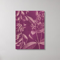 Modern Botany III