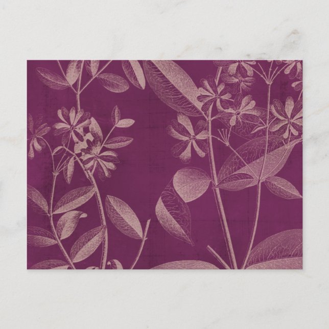 Modern Botany III Postcard (Front)