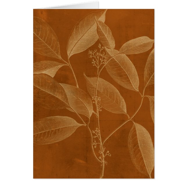 Modern Botany VI (Front)