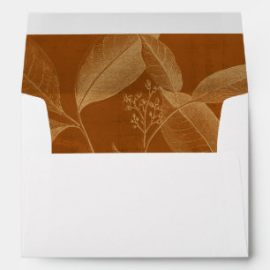 Modern Botany VI Envelope