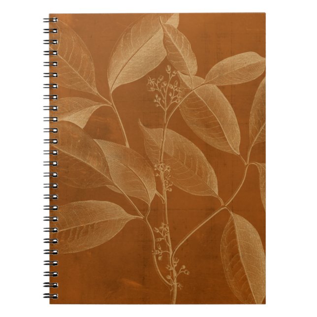 Modern Botany VI Notebook (Front)