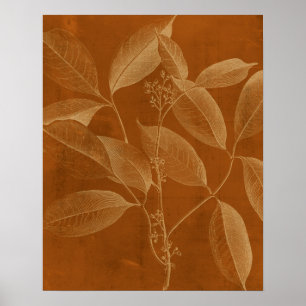 Modern Botany VI Poster