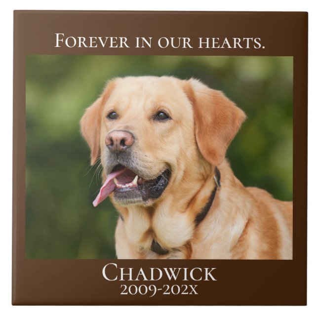 Modern Brown Add Photo Pet Memorial  Tile (Front)