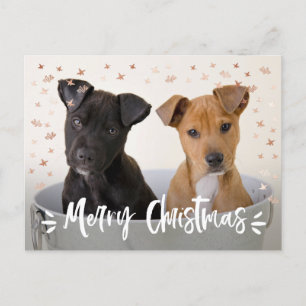 Modern Brush Script Christmas Photo Holiday Postcard