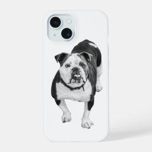 Modern Bulldog, Everyday Case