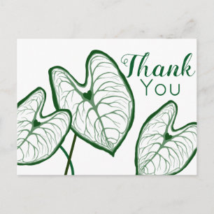 Modern Caladium Plants Thank You Postcard