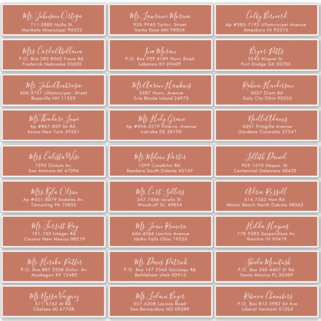 Modern Calligraphy Terracotta Wedding (Front)